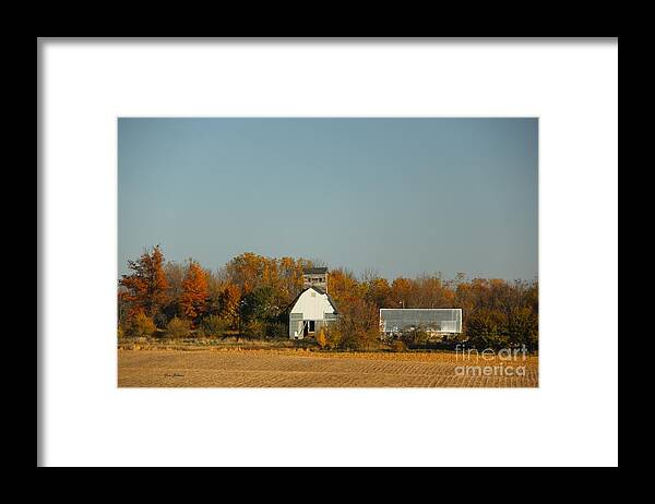 Fall Framed Print featuring the photograph White Barn in Fall by Yumi Johnson
