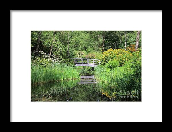 Bridges Framed Print featuring the photograph White Bridge over a pond by Amanda Mohler
