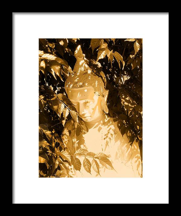 Buddha Framed Print featuring the photograph White Buddha by Jessica Levant