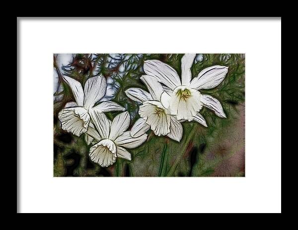 Daffodil Framed Print featuring the digital art White Daffodil Flowers by Photographic Art by Russel Ray Photos