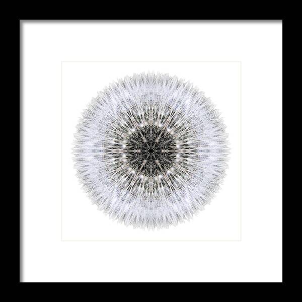 Dandelion Head Framed Print featuring the photograph Dandelion Head I Flower Mandala White by David J Bookbinder