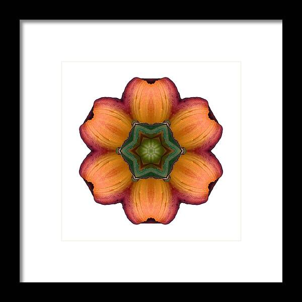 Flower Framed Print featuring the photograph Daylily I Flower Mandala White by David J Bookbinder