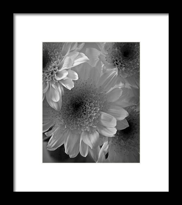 Flowers Framed Print featuring the photograph White Flowers Still Life Flower Art Poster by Lily Malor