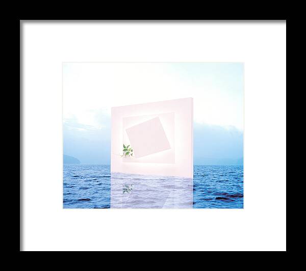 Photography Framed Print featuring the photograph White Frame With Small Vine Floating by Panoramic Images