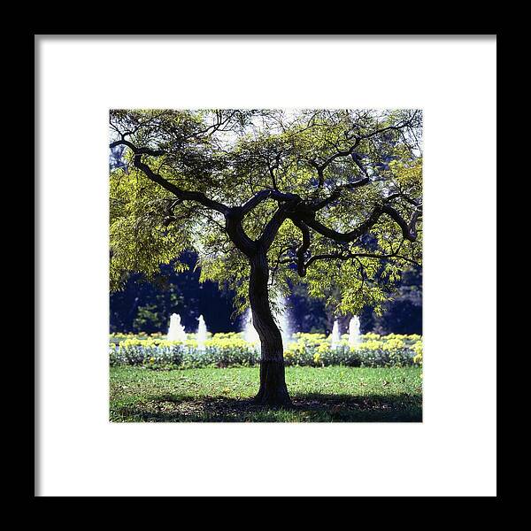 Garden Framed Print featuring the photograph White House Grounds by Horst P. Horst