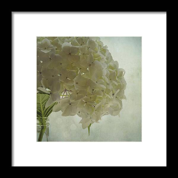 Sally Banfill Framed Print featuring the photograph White Hydrangea by Sally Banfill