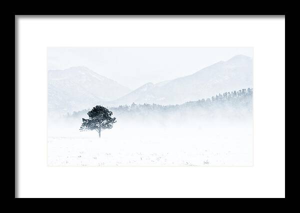 Snow Framed Print featuring the photograph White Out by Paul Berger