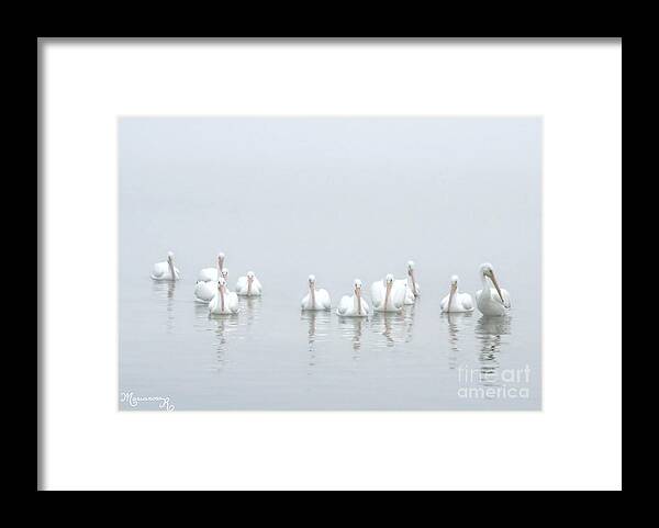 Fauna Framed Print featuring the photograph White Pelicans in the Fog by Mariarosa Rockefeller
