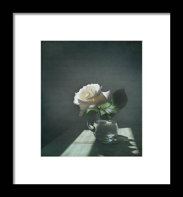 Rose Framed Print featuring the photograph White Rose Still Life by Deborah Smith