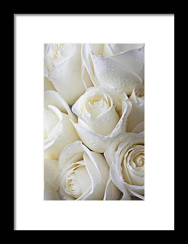 Rose White Roses Framed Print featuring the photograph White roses by Garry Gay