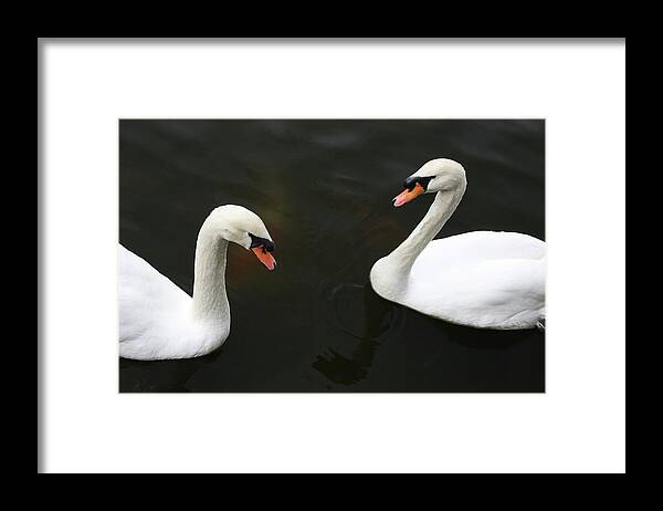 Feng Shui Love And Marriage Framed Print featuring the photograph Devotion by James Knight