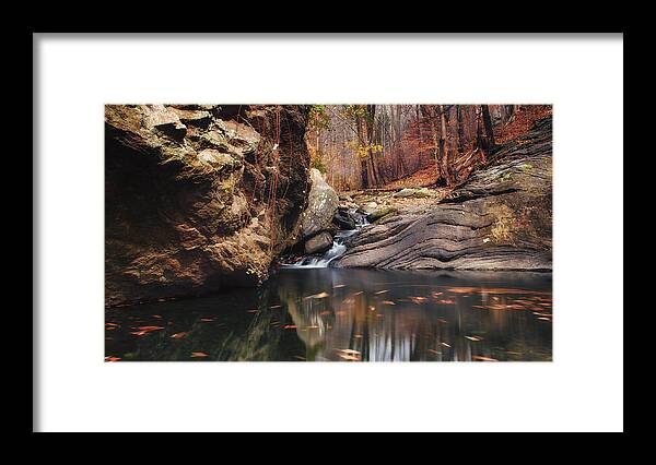 Lanscape Framed Print featuring the photograph White tail by Rob Dietrich