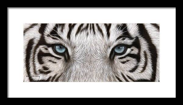 White Tiger Eyes Framed Print featuring the painting White Tiger Eyes Painting by Rachel Stribbling