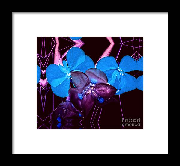 Macro Framed Print featuring the photograph White to Blue by Barry Weiss
