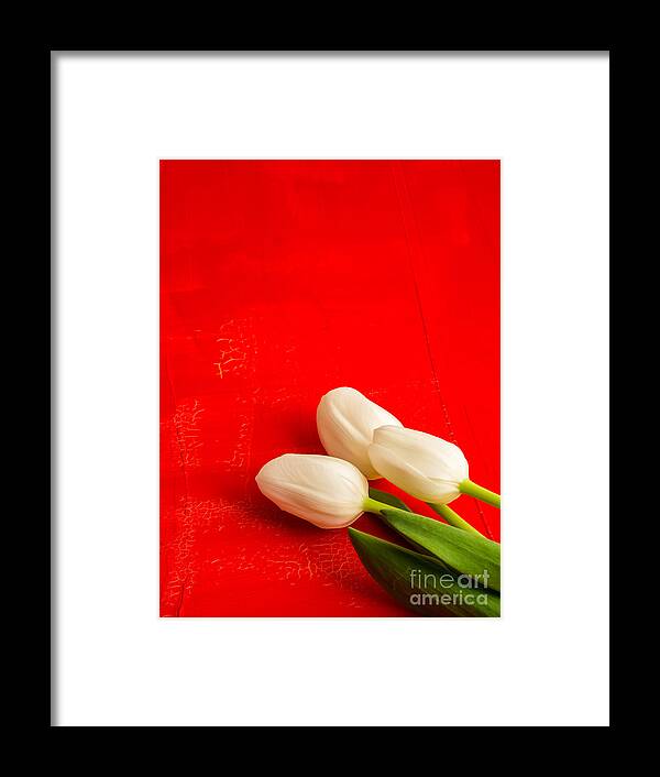 Flower Framed Print featuring the photograph White Tulips by Edward Fielding