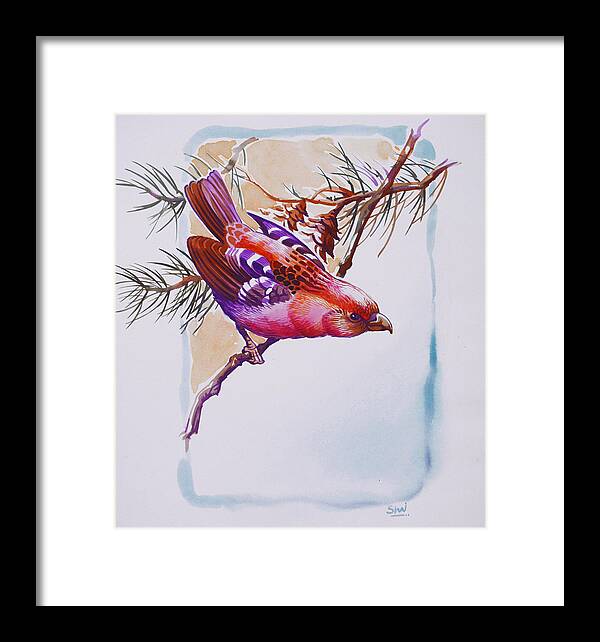 Bird Framed Print featuring the painting White winged crossbill by Shivani Verma