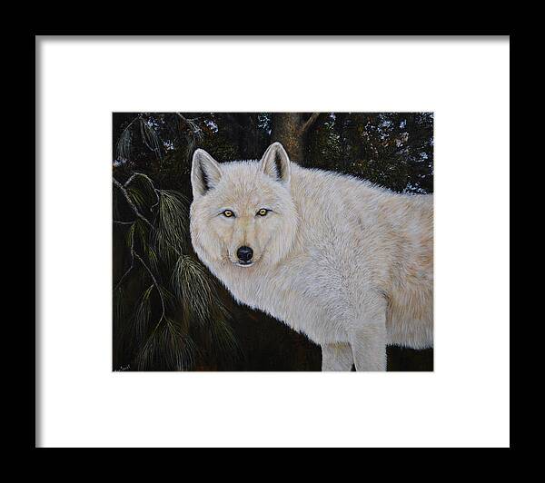 White Wolf Framed Print featuring the painting White Wolf in the Woods by Nancy Lauby