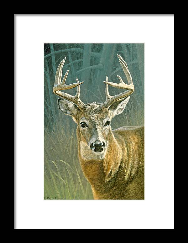 Wildlife Framed Print featuring the painting Whitetail Buck by Paul Krapf