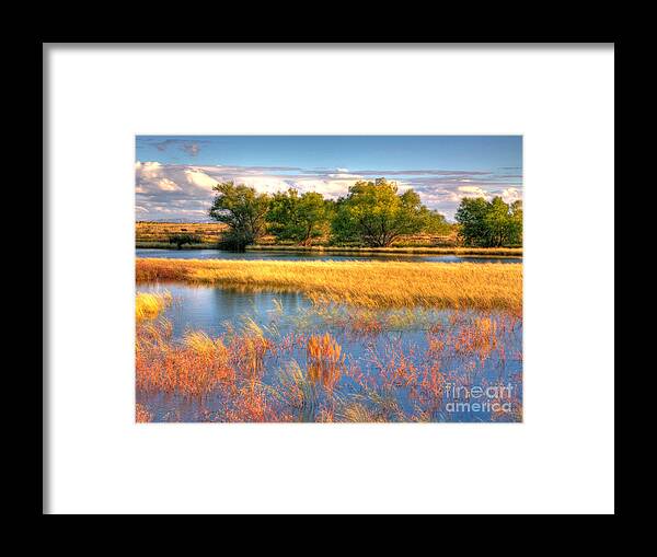Whitewater Draw Framed Print featuring the photograph Whitewater Draw by Charlene Mitchell