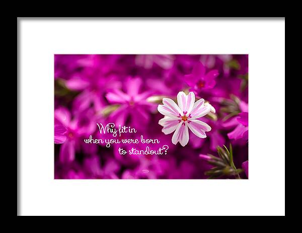 Abstract Framed Print featuring the photograph Why Fit In When You Were Born to Standout by Teri Virbickis