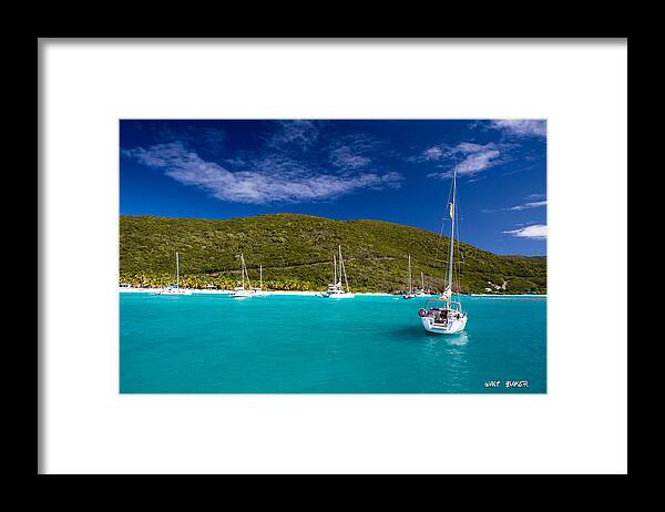 Bvi Framed Print featuring the photograph Why so Blue by Walt Baker