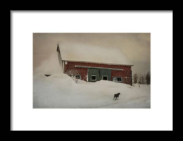 Barns Framed Print featuring the photograph Why Some Barns Are Painted Red by Sue Capuano