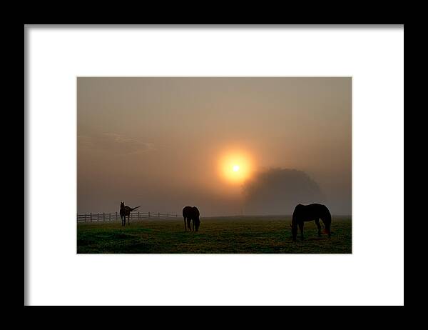 Widner Framed Print featuring the photograph Widner Farm at Sunrise by Bill Cannon