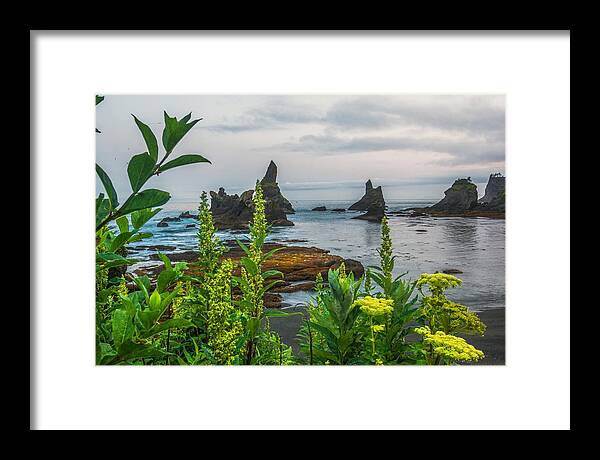 Wild Nature Beauty Framed Print featuring the photograph Wild Beauty by Gene Garnace