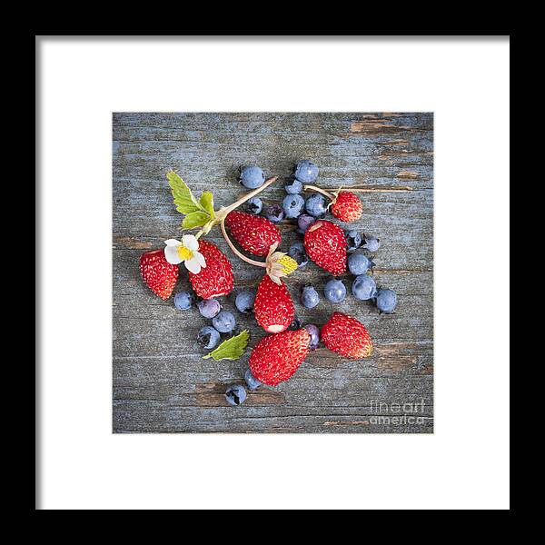 Berries Framed Print featuring the photograph Wild berries by Elena Elisseeva