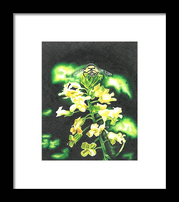 Bee Framed Print featuring the drawing Wild Flower by Troy Levesque