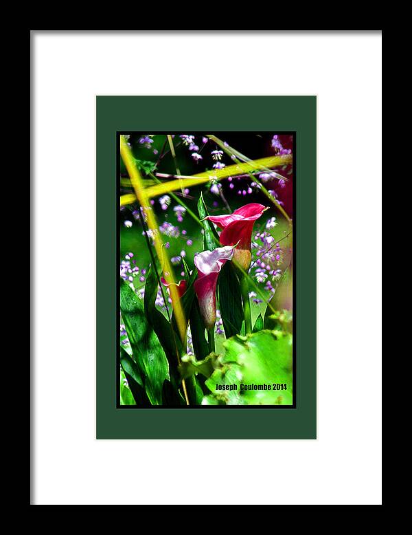 Wild Flowers Framed Print featuring the digital art Wild Flowers Captured by Joseph Coulombe