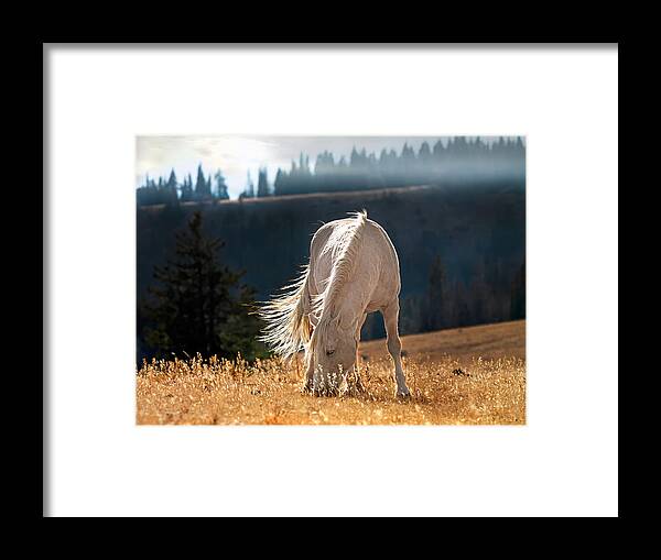 Animals Framed Print featuring the photograph Wild Horse Cloud by Leland D Howard