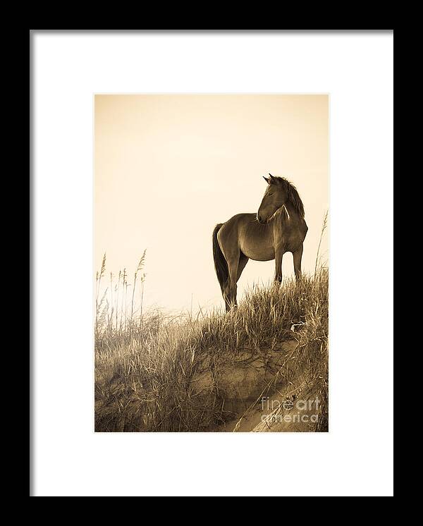 Horse Framed Print featuring the photograph Wild Horse on the Beach by Diane Diederich