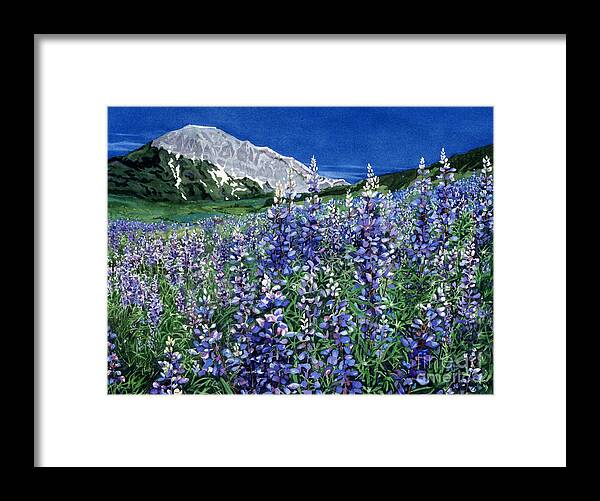 Rocky Mountain Biological Laboratory Framed Print featuring the painting Wild Lupine by Barbara Jewell