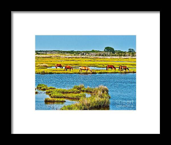 Assateague Island Framed Print featuring the photograph Wild Ponies of Assateague by SCB Captures