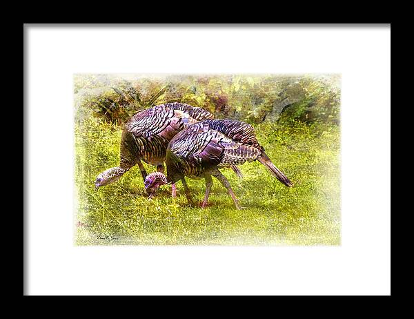 Turkey Framed Print featuring the photograph Wild Turkey Hens by Barry Jones
