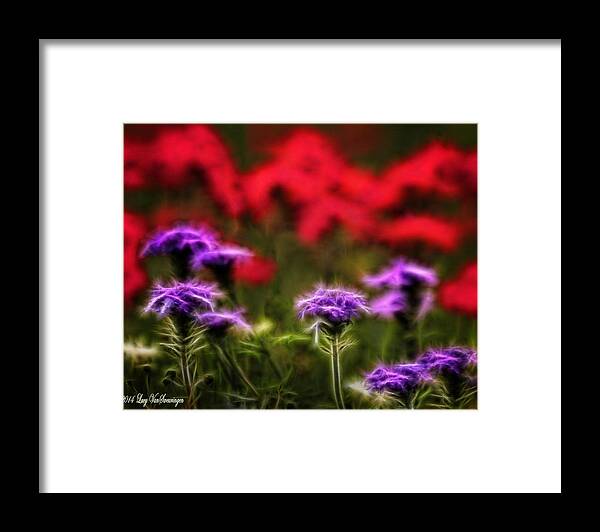 Verbena Framed Print featuring the photograph Wildflower Fantasy by Lucy VanSwearingen