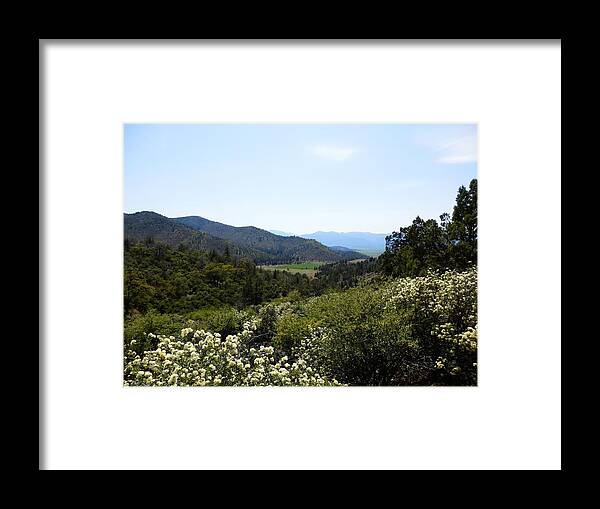 Wildflowers Framed Print featuring the photograph Wildflower Mountain View by William McCoy
