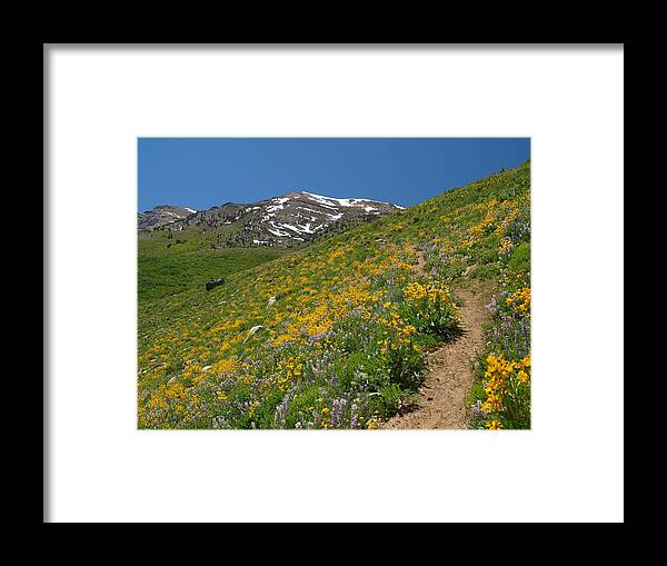 Elko Nevada Landscape Photography Framed Print featuring the photograph Wildflower Show by Jenessa Rahn