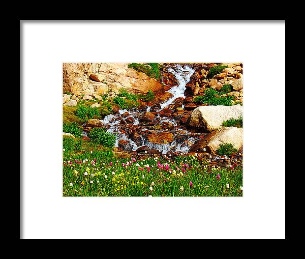 Wildflower Framed Print featuring the photograph Wildflower Waterfall by Tranquil Light Photography