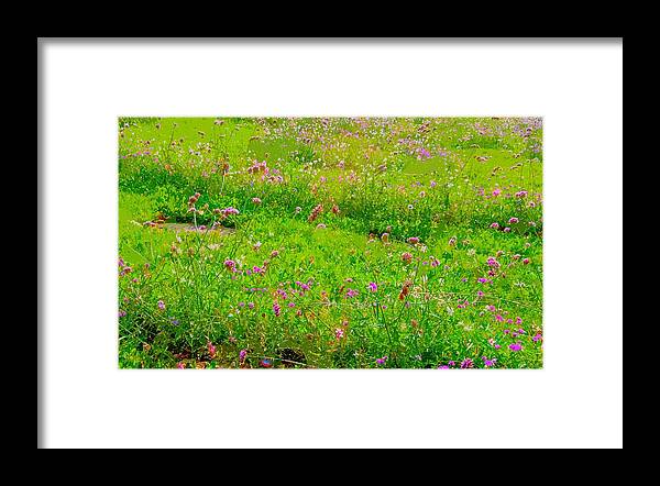 Wildflowers Framed Print featuring the photograph Wildflowers by Edward Shmunes