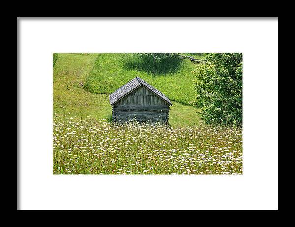 Cumberland Gap National Historical Park Framed Print featuring the photograph Wildflowers in the Fields by Mary Almond