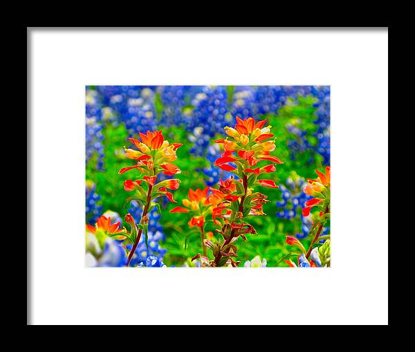Ennis Framed Print featuring the photograph Wildflowers by John Babis