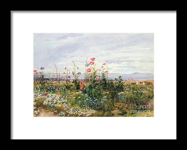 Meadow; Flowers; Irish; Wild; Landscape; Poppies Framed Print featuring the painting Wildflowers with a View of Dublin Dunleary by A Nicholl