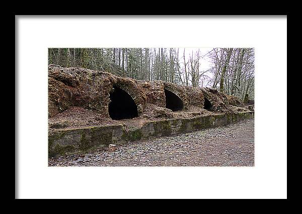 Ovens Framed Print featuring the photograph Wilkeson coke Ovens by Ron Roberts