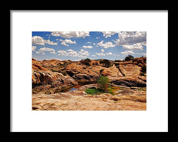 Willow Lake Framed Print featuring the photograph Willow Lake by Sandra Selle Rodriguez