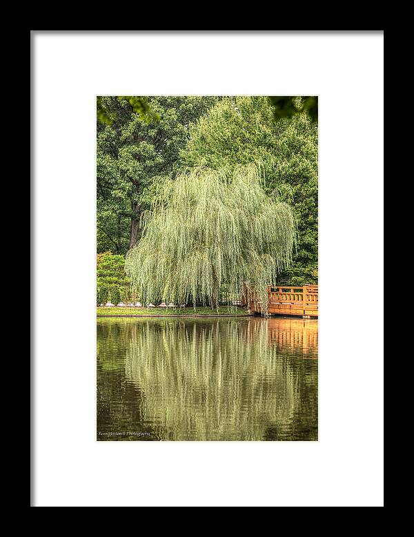 Hdr Framed Print featuring the photograph Willow by Ross Henton
