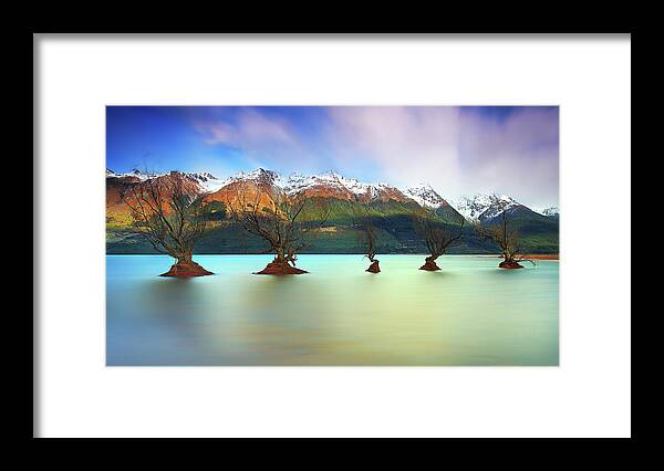Scenics Framed Print featuring the photograph Willow Trees Of Glenorchy by Fakrul Jamil Photography
