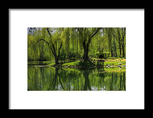 Usa Framed Print featuring the photograph Willows weep into their reflection by LeeAnn McLaneGoetz McLaneGoetzStudioLLCcom