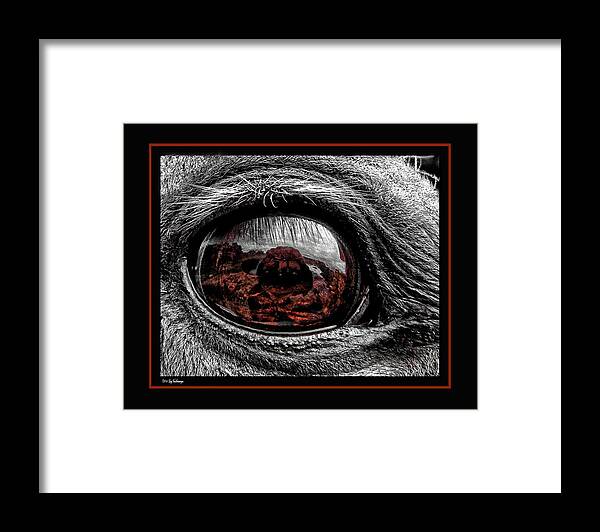 Window Framed Print featuring the photograph Window To His Soul by Lucy VanSwearingen